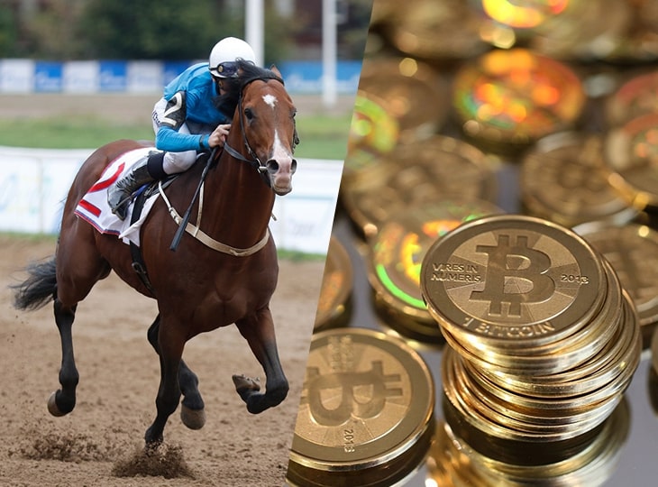 scommesse online sicure e legali